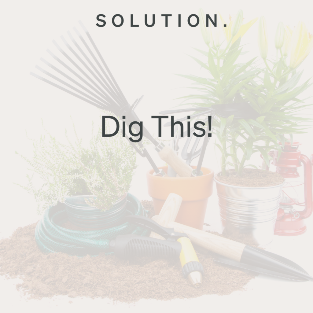 Dig This! Gardening Group